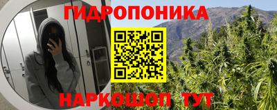 марки lsd Бийск