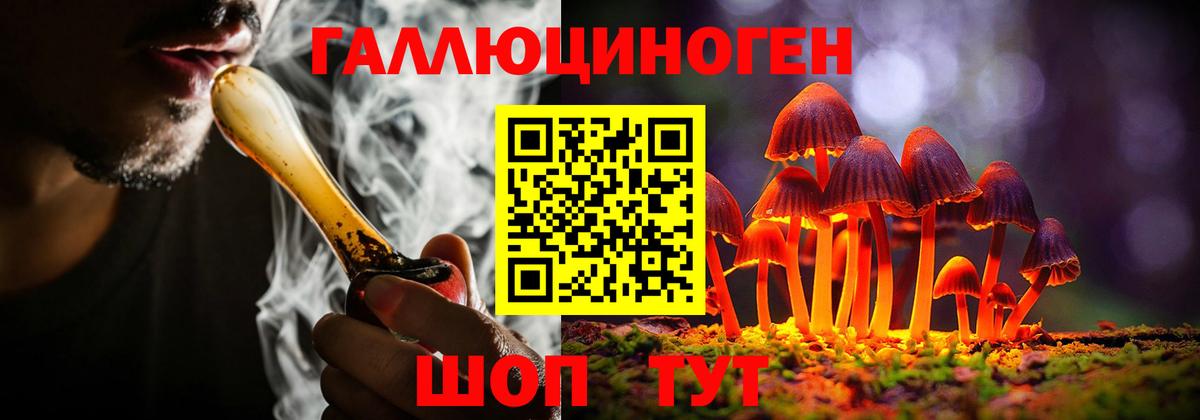 Псилоцибиновые грибы GOLDEN TEACHER  Вход с VPN  Ипатово 